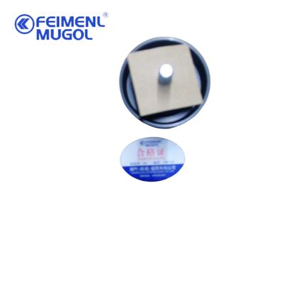 Polia da Correia da Ventoinha de Ferro N800 Original – Alta Resistência e Resistente à Corrosão, OEM AN3-19A216-AA