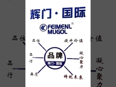 Guangdong Federal-Mogul Industrial Co., Ltd. Introdução do produto